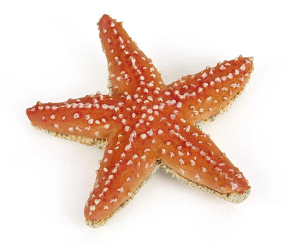 PAPO FIGURINA STEA DE MARE, UNIVERSUL ACVATIC