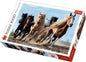 PUZZLE TREFL 1000 CAI LA GALOP, TREFL 1000P