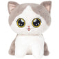 PLUS PISICA MOLLY 25CM, STIP