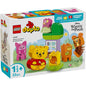 LEGO DUPLO PETRECEREA DE ZIUA DE NASTERE A LUI WINNIE DE PLUS 10457 , LEGO DUPLO