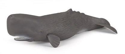 PAPO FIGURINA CASALOT, UNIVERSUL ACVATIC