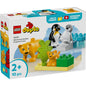 LEGO DUPLO FAMILII DE ANIMALE SALBATICE: PINGUINI SI LEI 10442, LEGO DUPLO