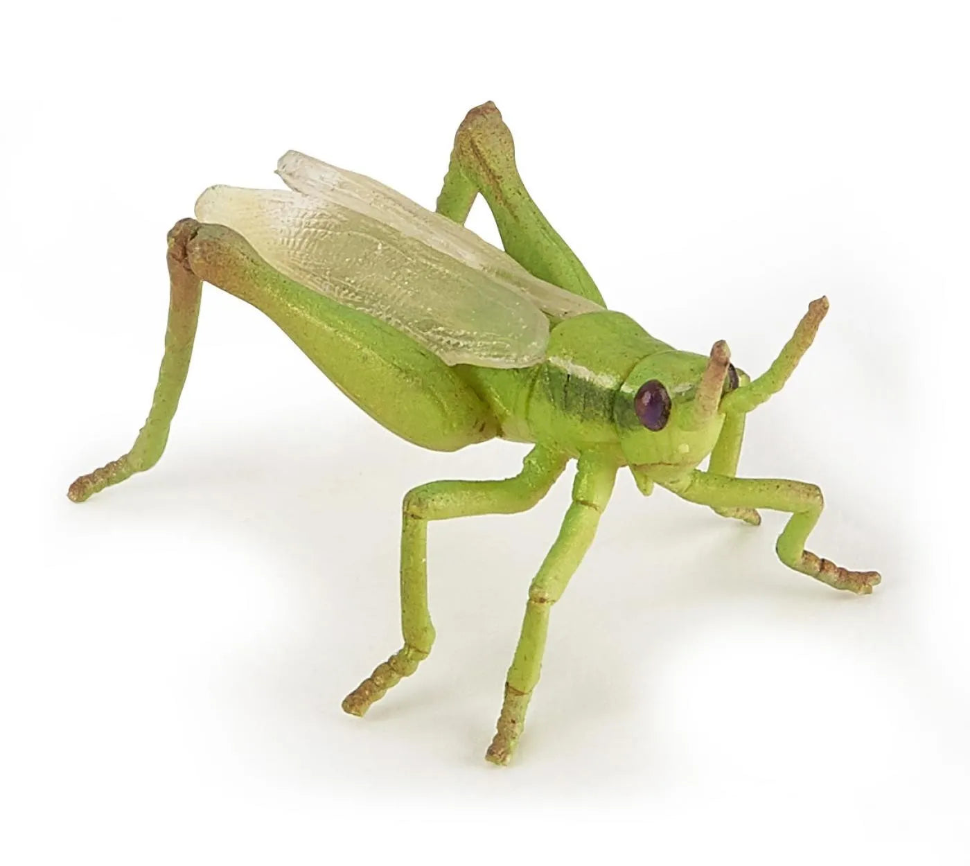 PAPO FIGURINA LACUSTA, ANIMALE SALBATICE