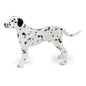 PAPO FIGURINA CATEL DALMATIAN, RASE DE CAINI SI PISICI