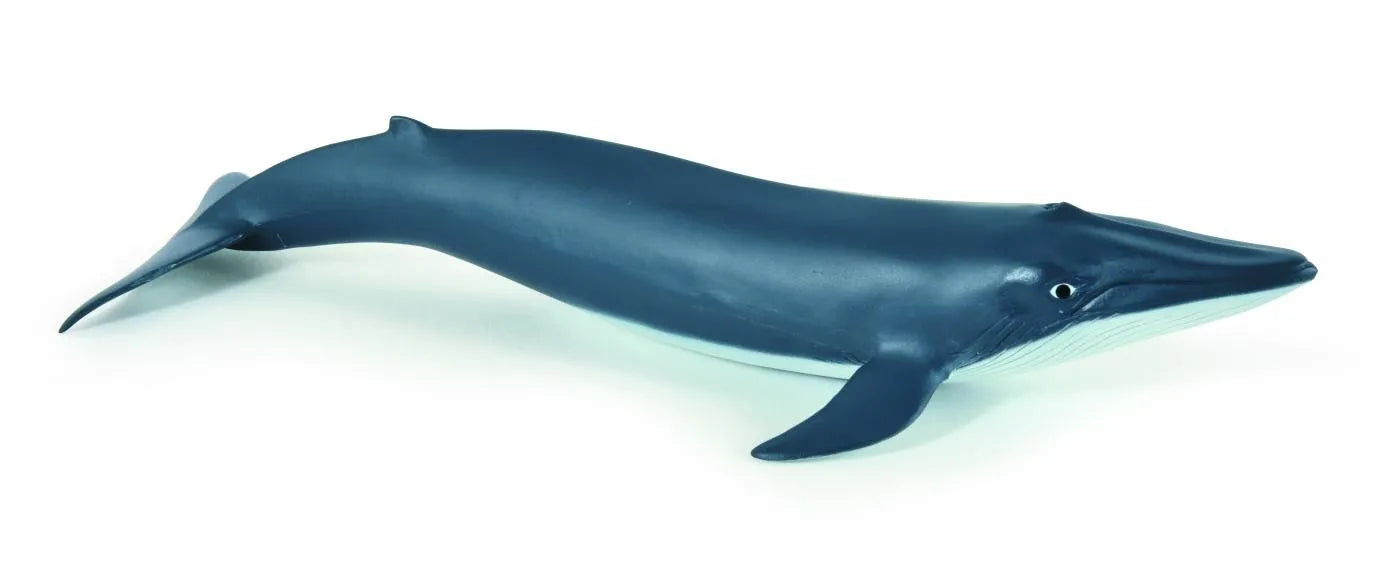 PAPO FIGURINA PUI DE BALENA ALBASTRA, UNIVERSUL ACVATIC
