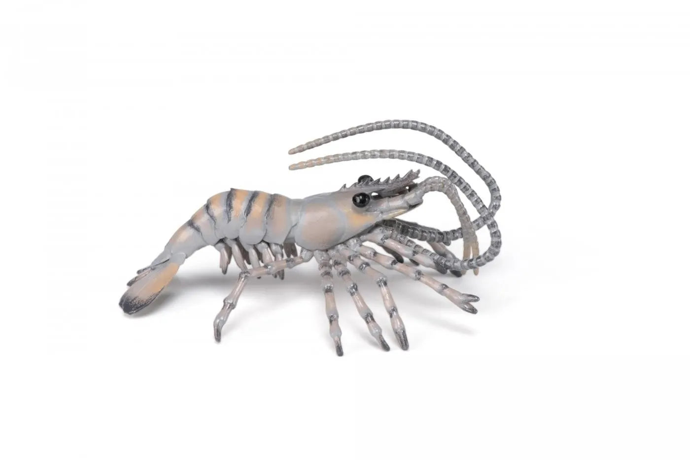 PAPO FIGURINA CREVETE, UNIVERSUL ACVATIC
