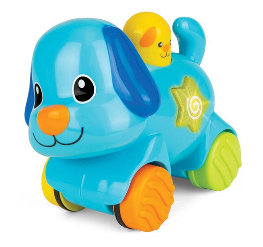 WINFUN CATELUS INTERACTIV, WINFUN