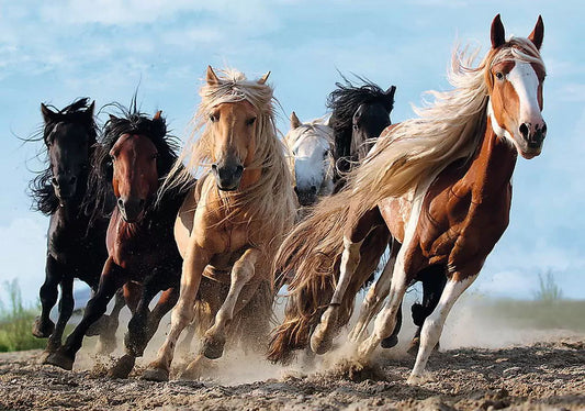 PUZZLE TREFL 1000 CAI LA GALOP, TREFL 1000P