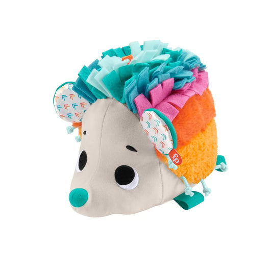 FISHER PRICE ARICIUL CU ACTIVITATI SENZORIALE, FISHER PRICE - NEWBORN