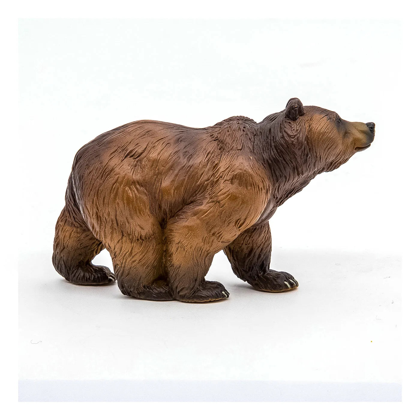 PAPO FIGURINA URS PIRINEI, ANIMALE SALBATICE