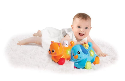 WINFUN CATELUS INTERACTIV, WINFUN