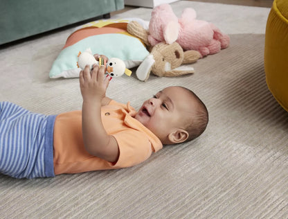 FISHER PRICE JUCARIE ZORNAITOARE GASCA, FISHER PRICE - INFANT