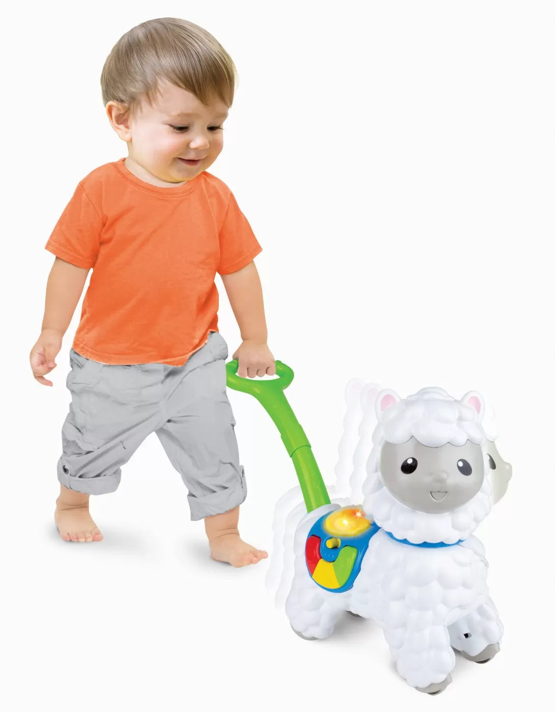 WINFUN JUCARIE DE IMPINS ALPACA, WINFUN