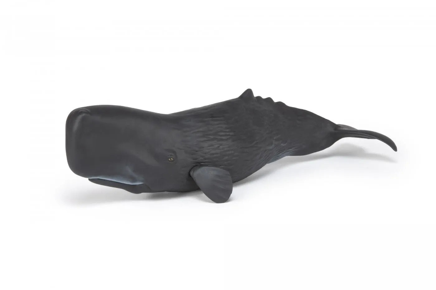 PAPO FIGURINA CASALOT, UNIVERSUL ACVATIC