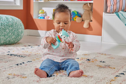 FISHER PRICE JUCARIE ZORNAITOARE CERB, FISHER PRICE - INFANT