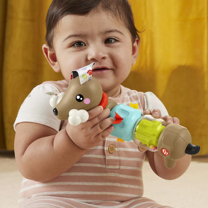 FISHER PRICE JUCARIE CATELUS DE ACTIVITATE PENTRU BEBELUSI CLICK AND SPIN, FISHER PRICE - NEWBORN