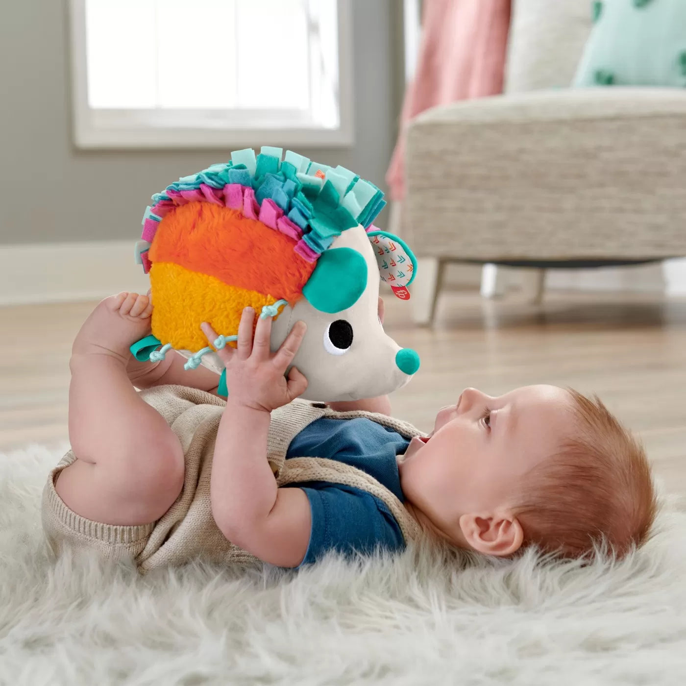 FISHER PRICE ARICIUL CU ACTIVITATI SENZORIALE, FISHER PRICE - NEWBORN