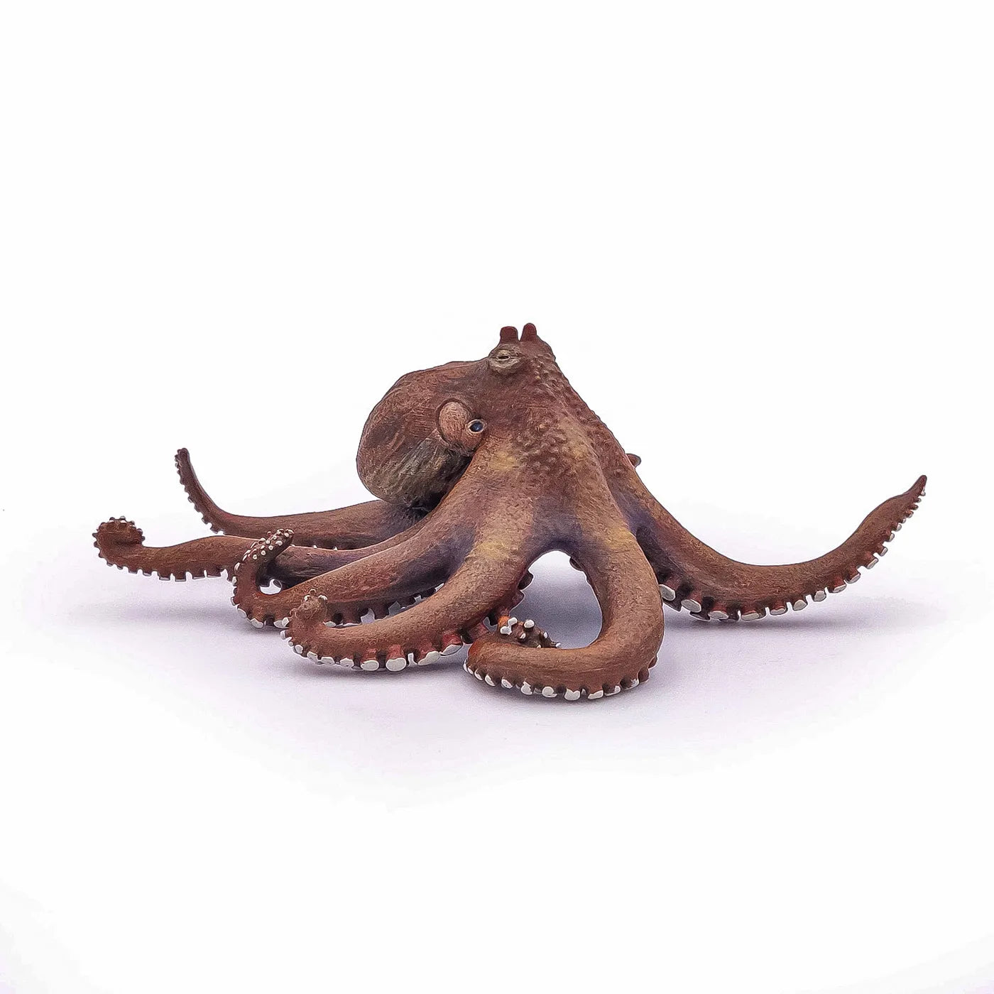 PAPO FIGURINA CARACATITA, UNIVERSUL ACVATIC