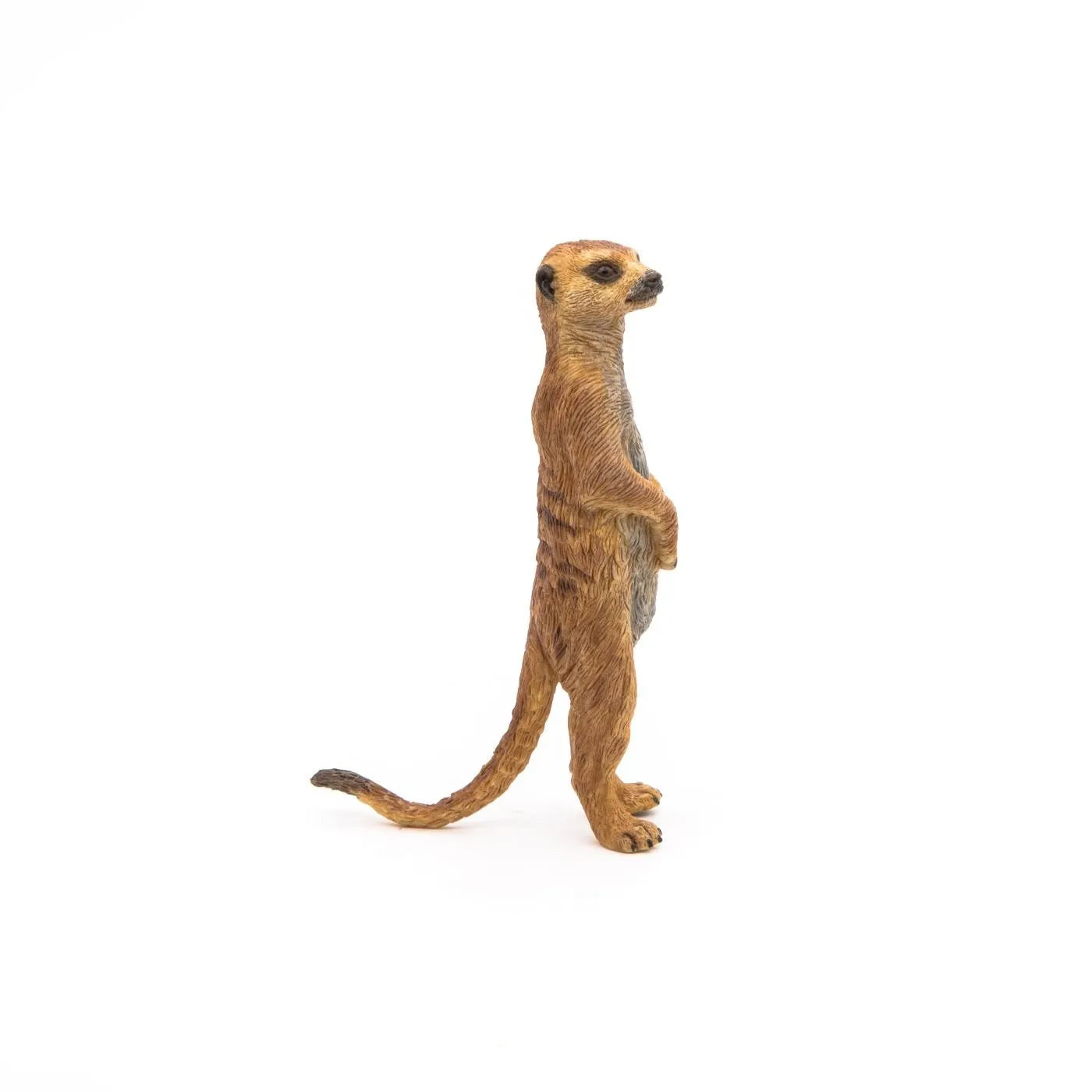PAPO FIGURINA SURICATA, ANIMALE SALBATICE
