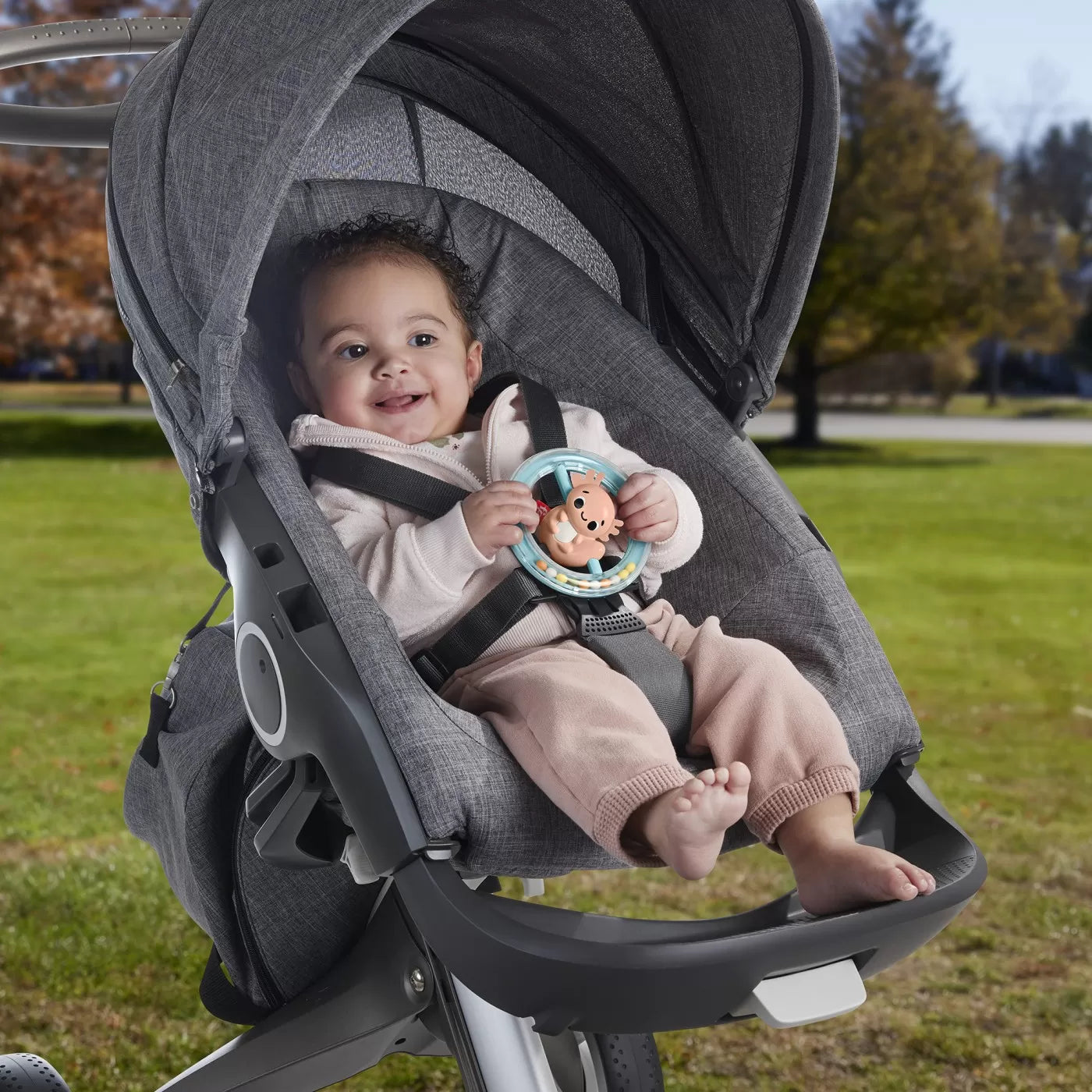 FISHER PRICE JUCARIE ZORNAITOARE SALAMANDRA, FISHER PRICE - INFANT