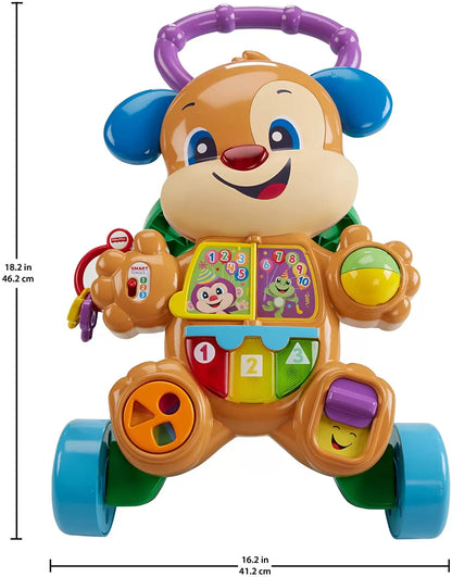 FISHER PRICE ANTEMERGATOR CATELUSUL INTERACTIV IN LIMBA ROMANA, FISHER PRICE - INFANT