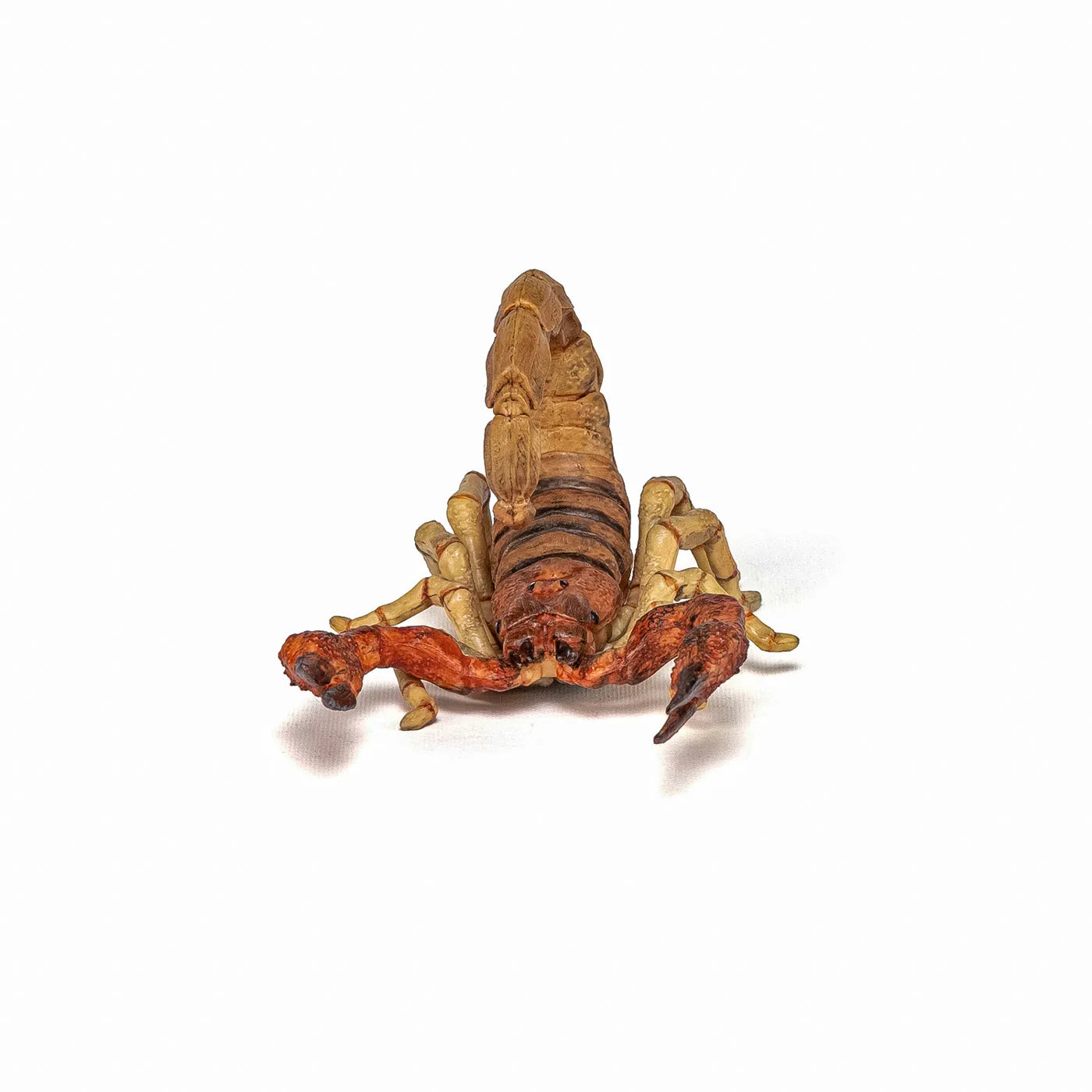 PAPO FIGURINA SCORPION, ANIMALE SALBATICE
