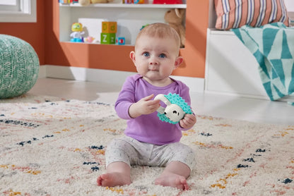 FISHER PRICE JUCARIE ZORNAITOARE ARICI, FISHER PRICE - INFANT