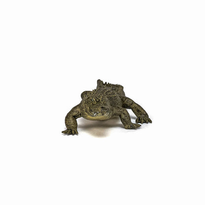 PAPO FIGURINA ALIGATOR, ANIMALE SALBATICE