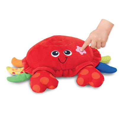 WINFUN JUCARIE CRABUL DANSATOR, WINFUN