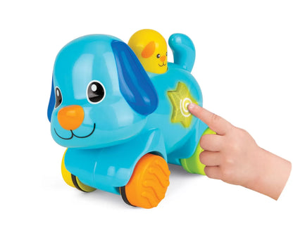 WINFUN CATELUS INTERACTIV, WINFUN