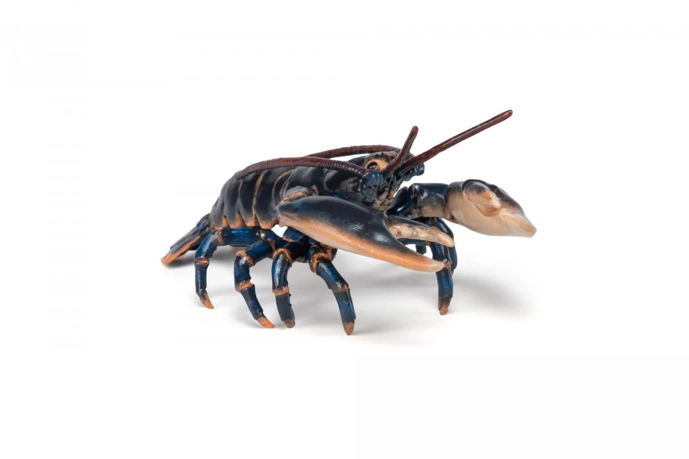 PAPO FIGURINA HOMAR, UNIVERSUL ACVATIC
