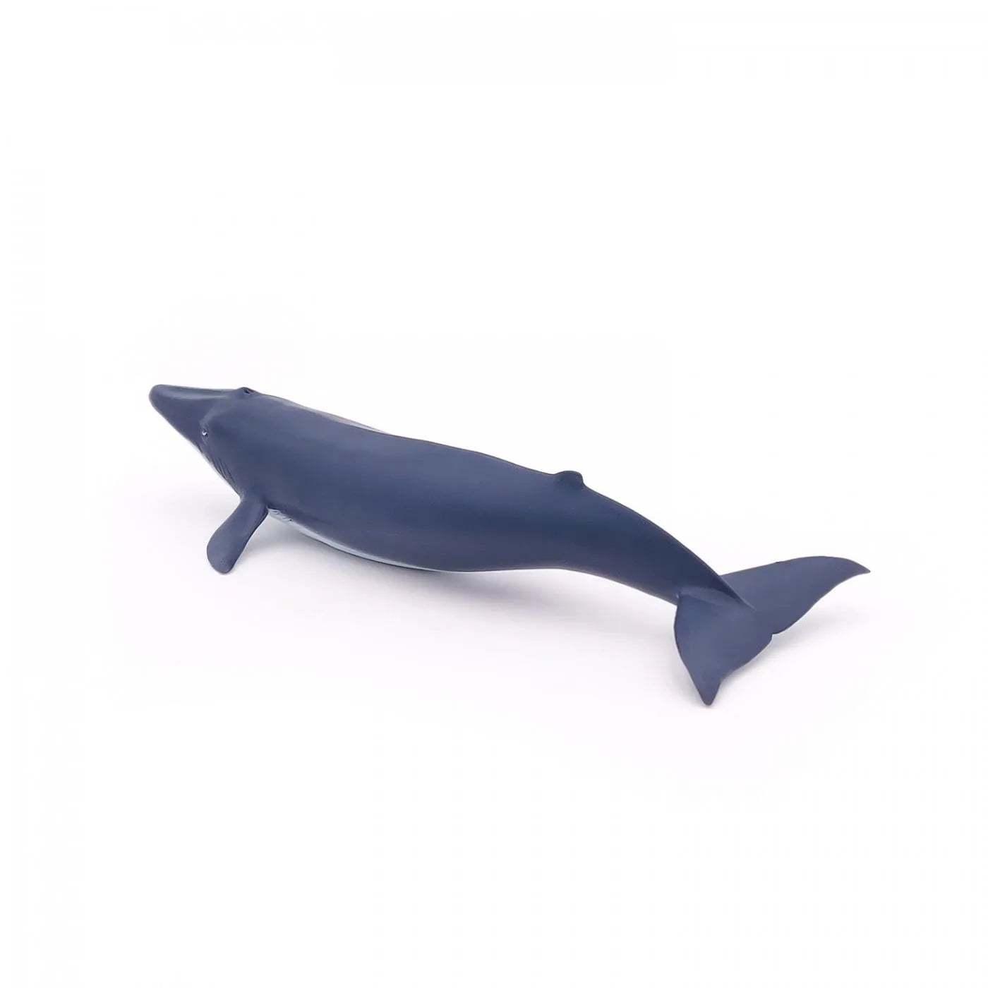 PAPO FIGURINA PUI DE BALENA ALBASTRA, UNIVERSUL ACVATIC