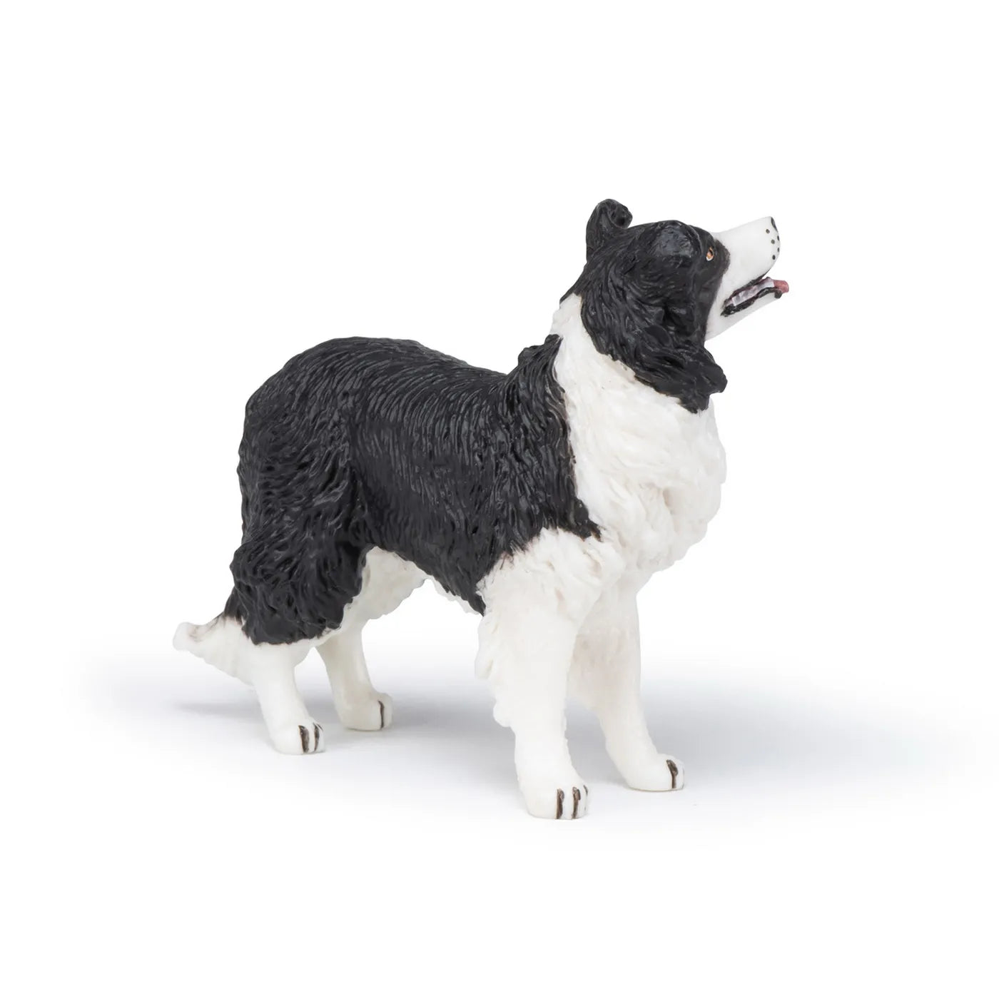 PAPO FIGURINA CATEL BORDER COLLIE, RASE DE CAINI SI PISICI