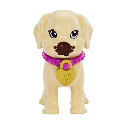 BARBIE SET PAPUSA BARBIE PUP ADOPTION, BARBIE - I CAN BE