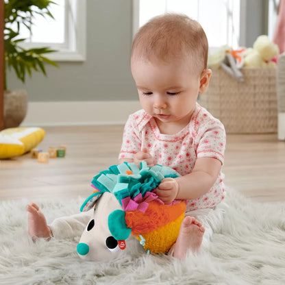 FISHER PRICE ARICIUL CU ACTIVITATI SENZORIALE, FISHER PRICE - NEWBORN