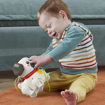 FISHER PRICE JUCARIE DE TRAS INTERACTIVA CATEL CU MISCARI SI SUNETE , FISHER PRICE - INFANT