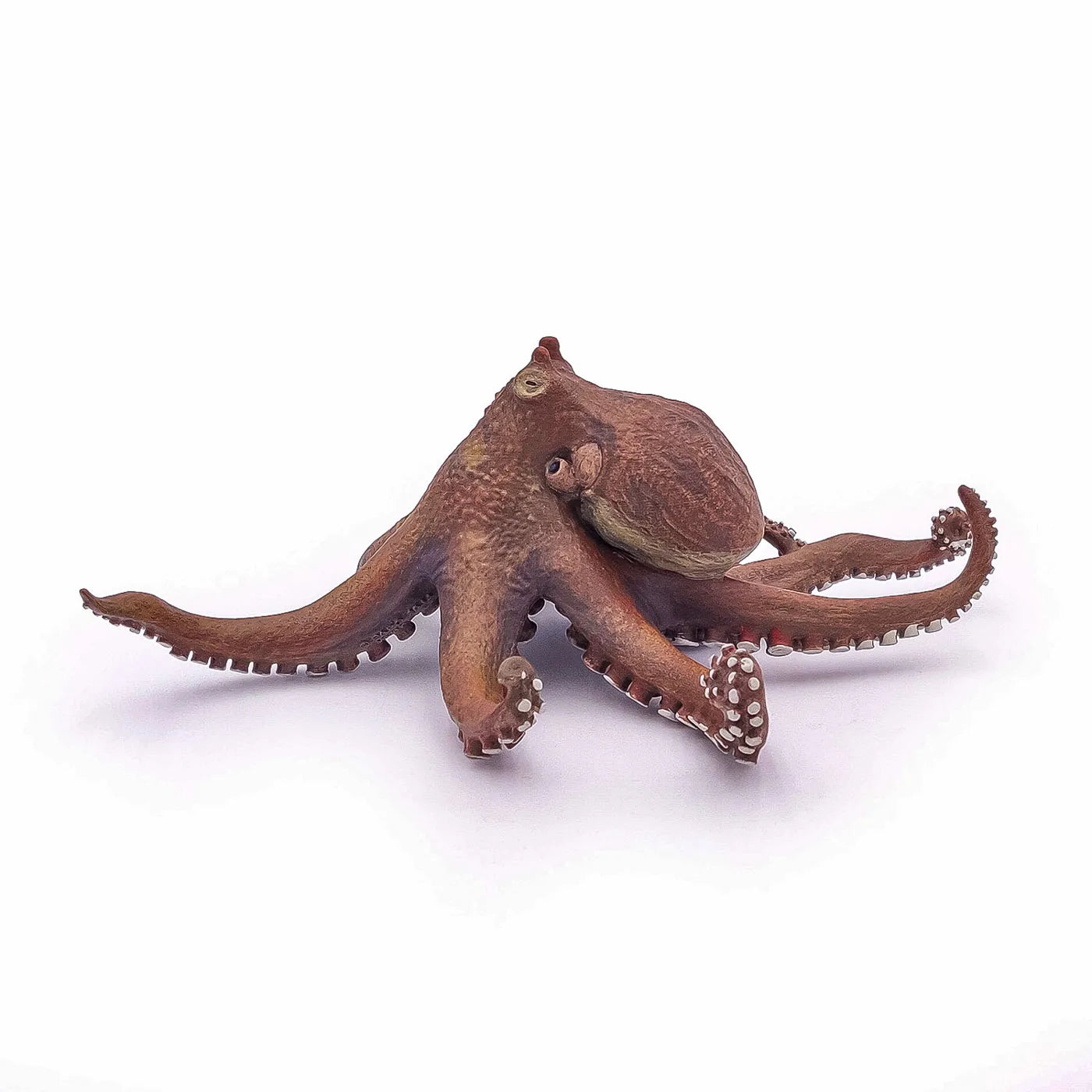 PAPO FIGURINA CARACATITA, UNIVERSUL ACVATIC