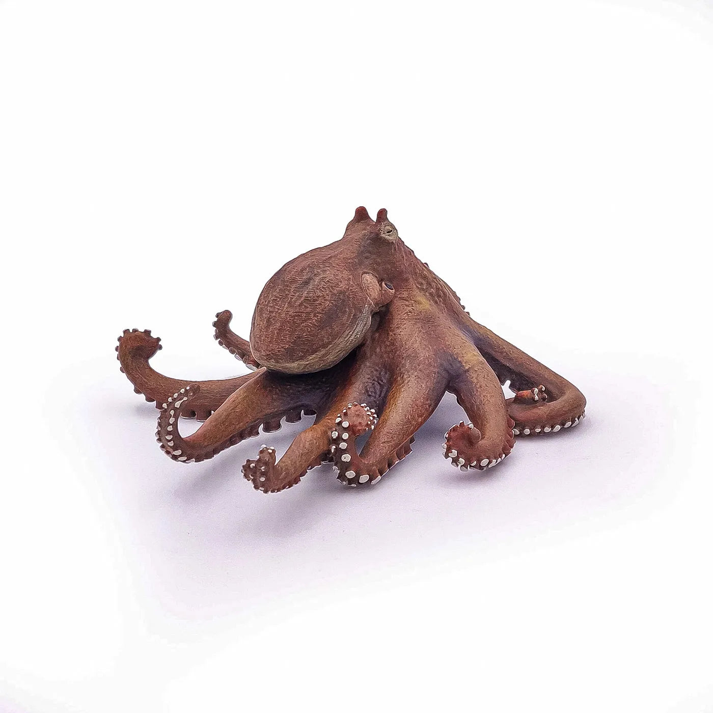 PAPO FIGURINA CARACATITA, UNIVERSUL ACVATIC