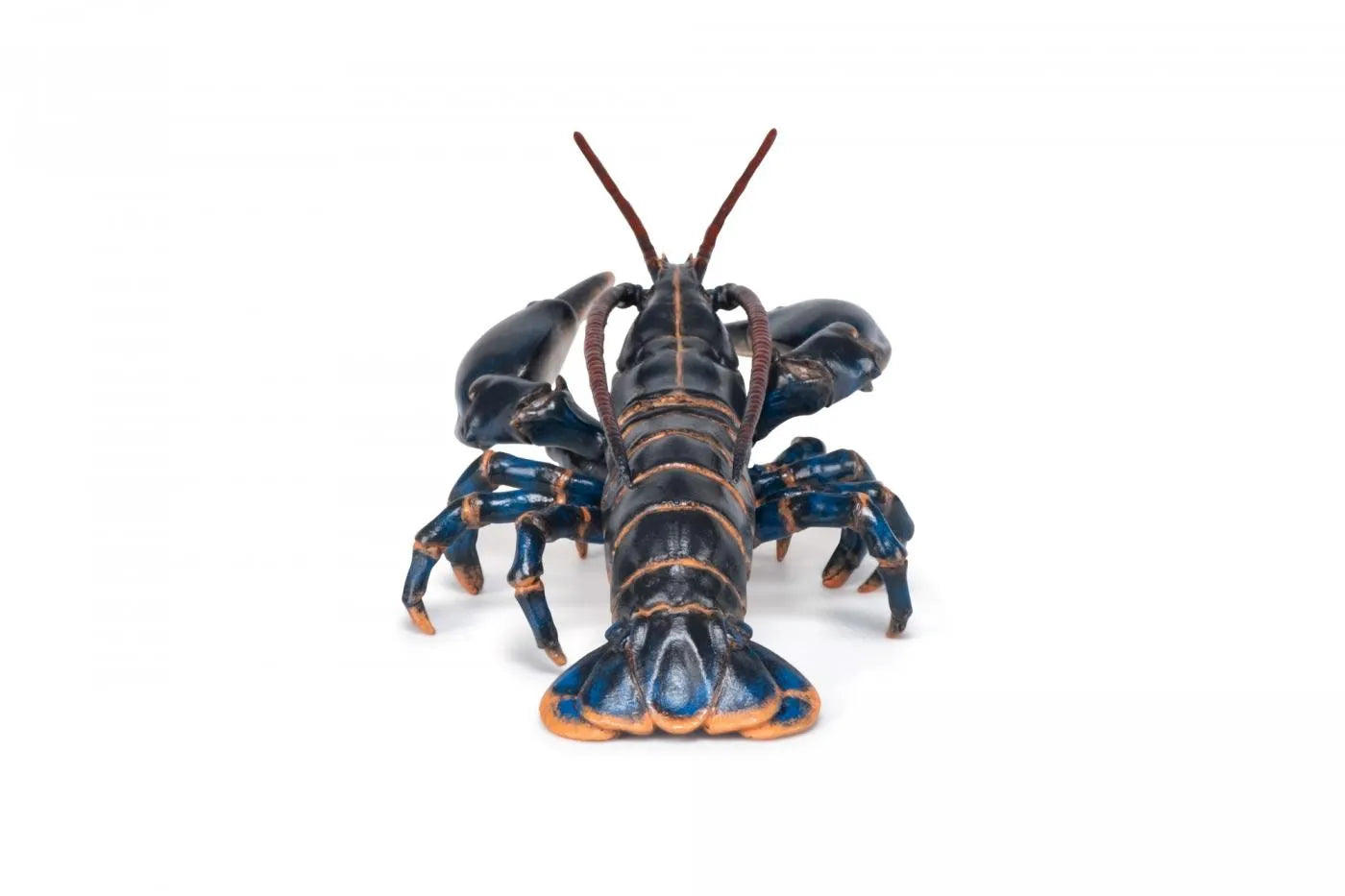 PAPO FIGURINA HOMAR, UNIVERSUL ACVATIC