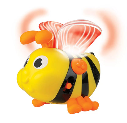 WINFUN TURN PENTRU STIVUIRE ALBINUTA, WINFUN