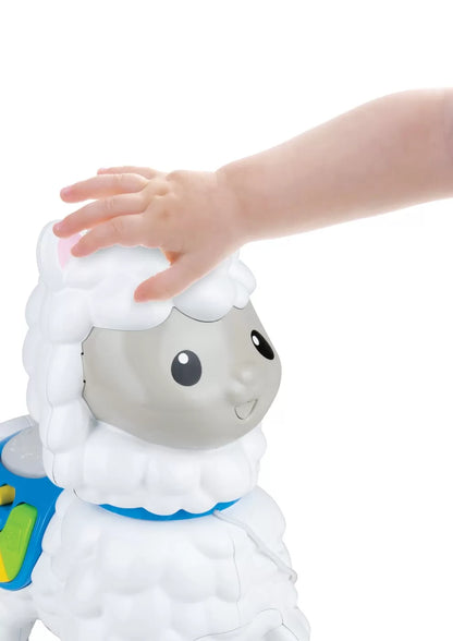 WINFUN JUCARIE DE IMPINS ALPACA, WINFUN