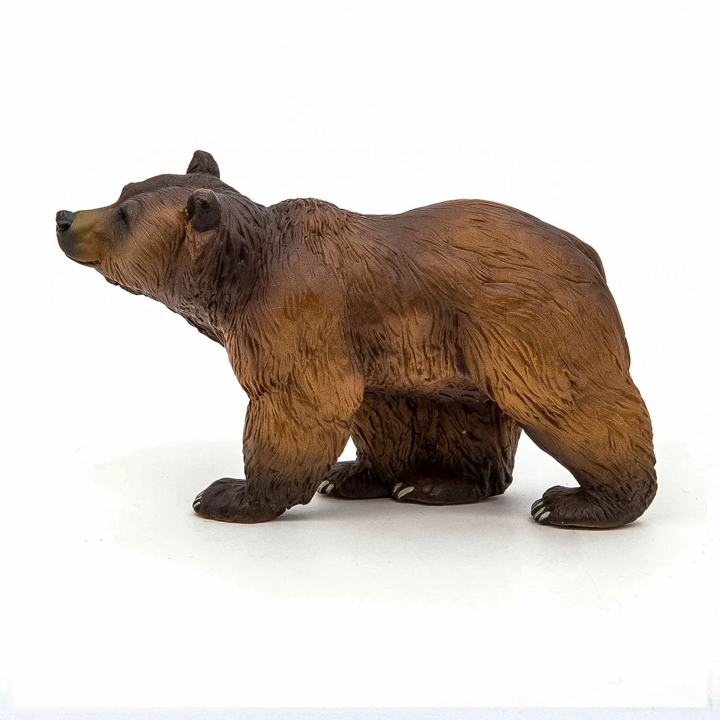 PAPO FIGURINA URS PIRINEI, ANIMALE SALBATICE