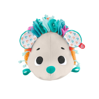 FISHER PRICE ARICIUL CU ACTIVITATI SENZORIALE, FISHER PRICE - NEWBORN