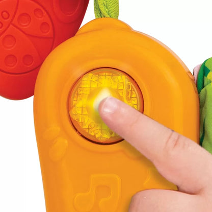 WINFUN CARTE SENZORIALA, WINFUN