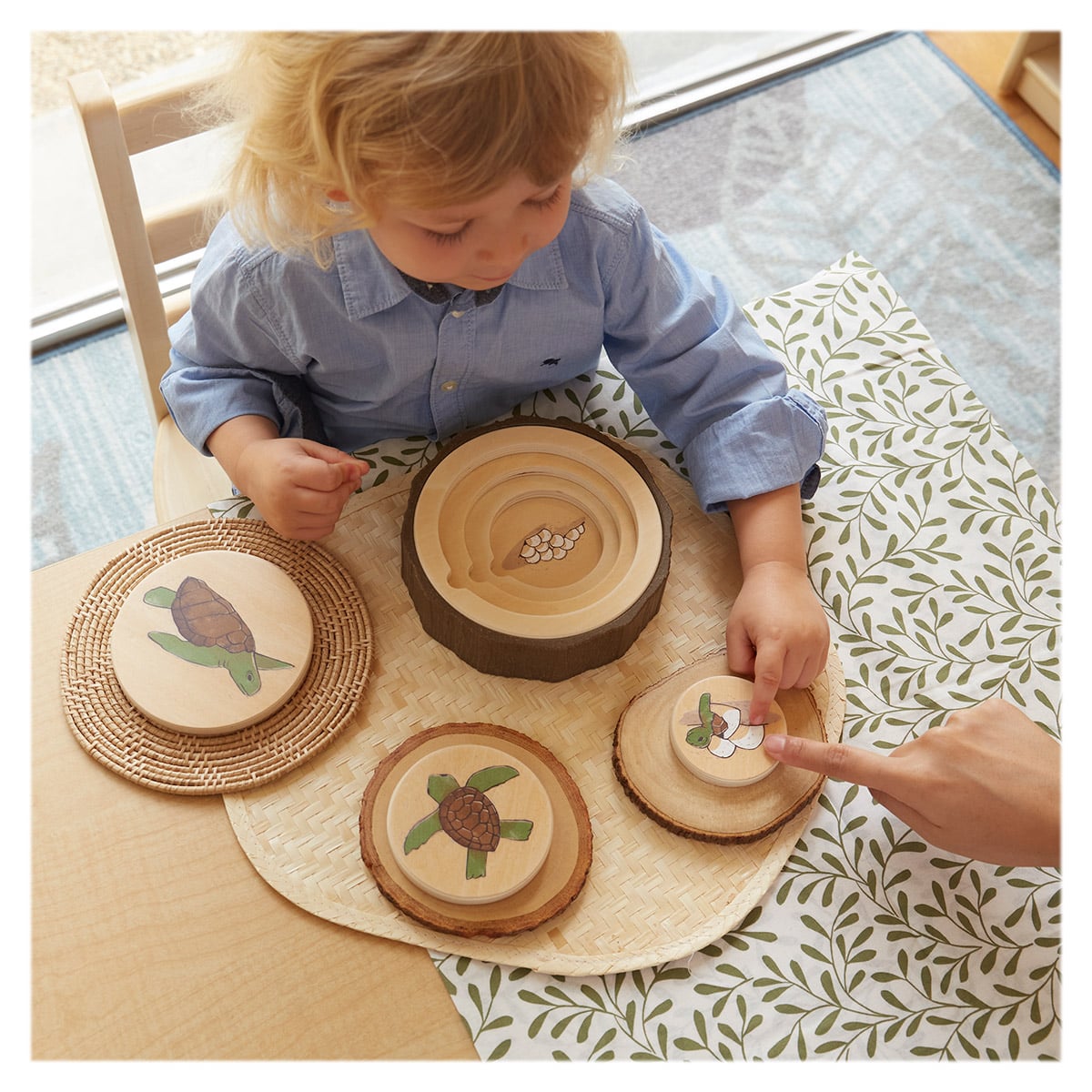 Ciclurile vietii, set 3 puzzle-uri educative, Guidecraft