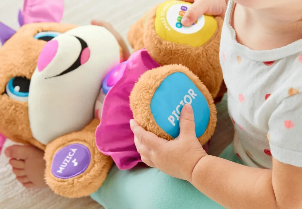 FISHER PRICE CATELUSA SIS VORBESTE IN LIMBA ROMANA, FISHER PRICE - RADE SI INVATA