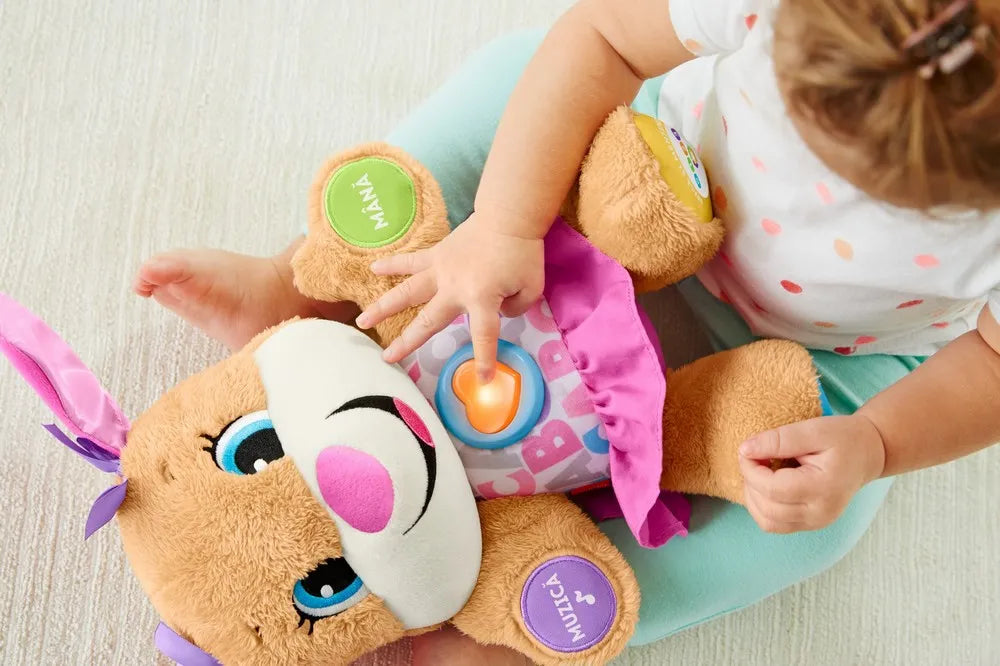 FISHER PRICE CATELUSA SIS VORBESTE IN LIMBA ROMANA, FISHER PRICE - RADE SI INVATA
