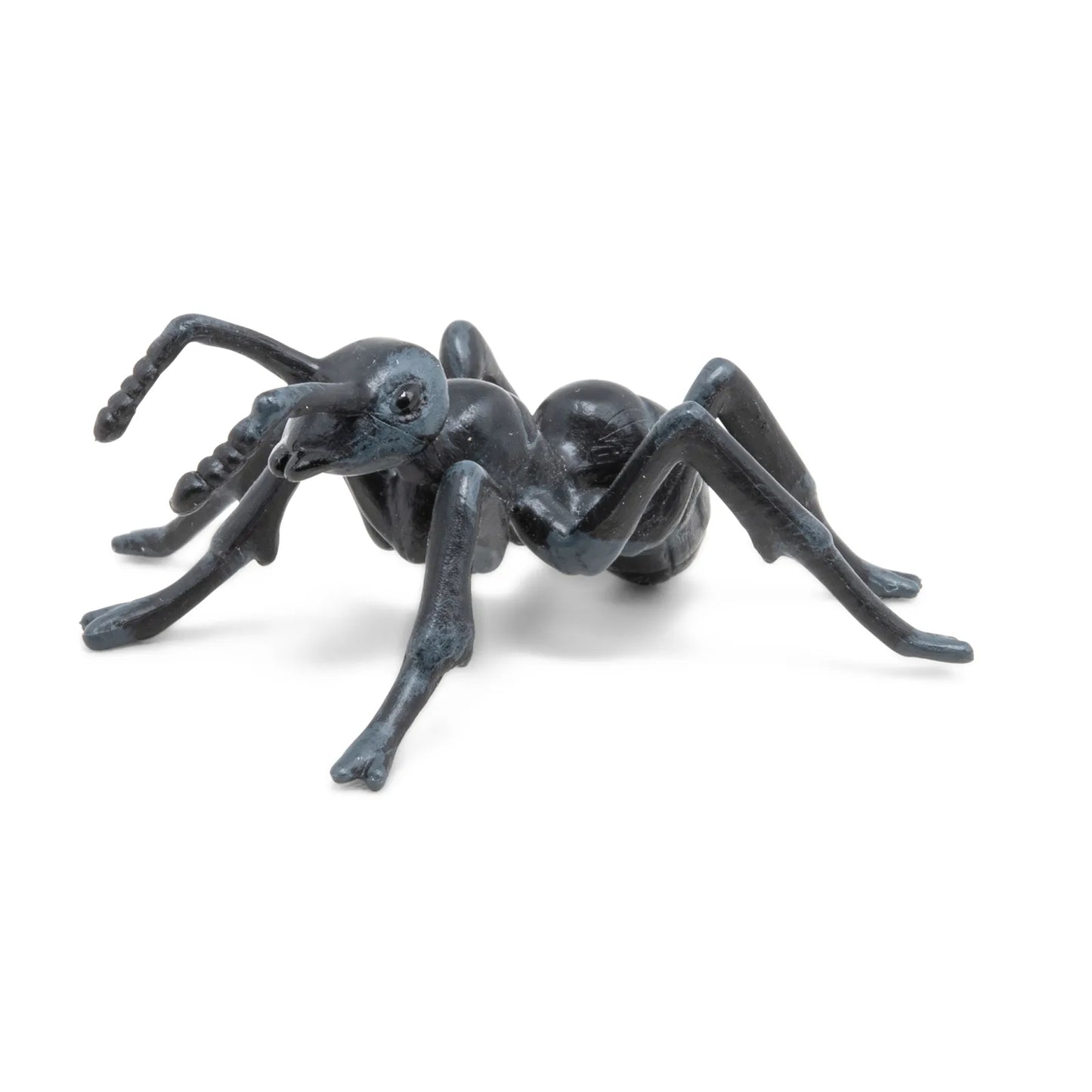 PAPO FIGURINA FURNICA, ANIMALE SALBATICE