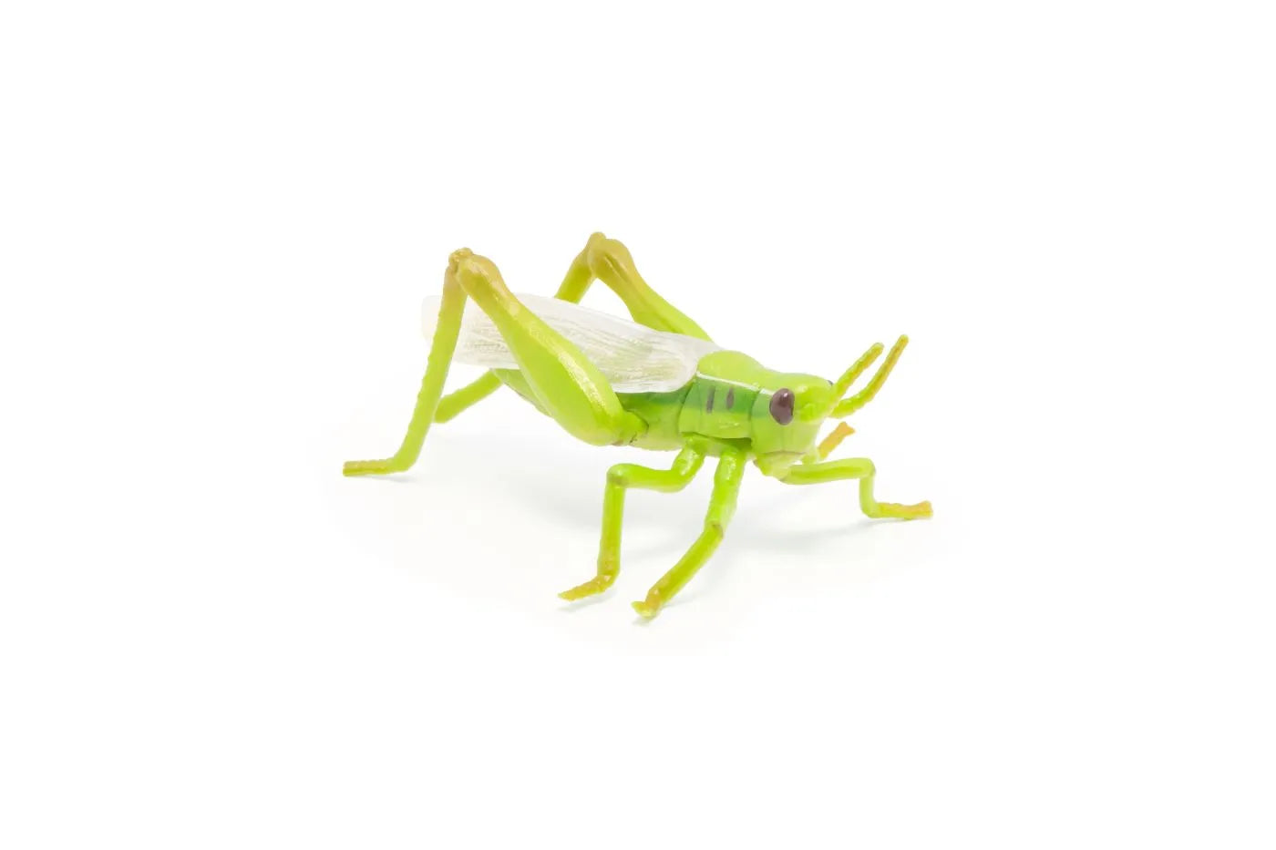 PAPO FIGURINA LACUSTA, ANIMALE SALBATICE