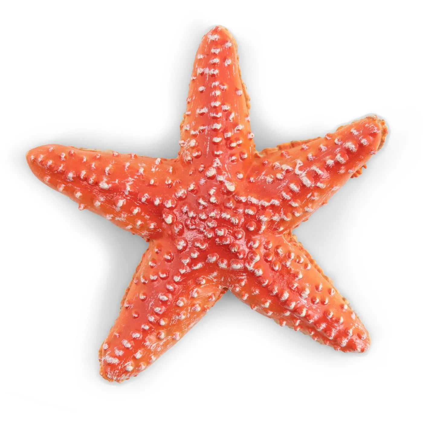 PAPO FIGURINA STEA DE MARE, UNIVERSUL ACVATIC